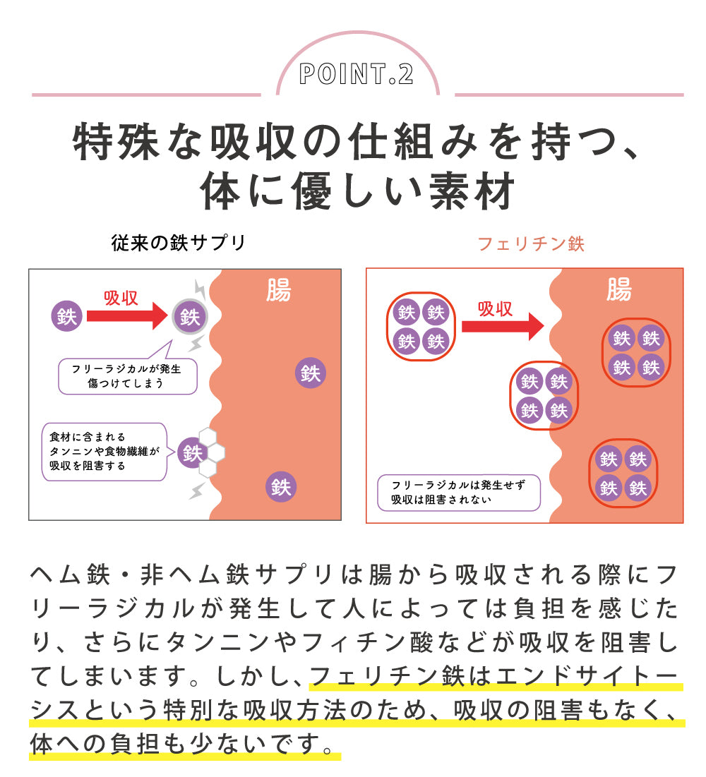 withmoon フェリチン鉄サプリ 120粒